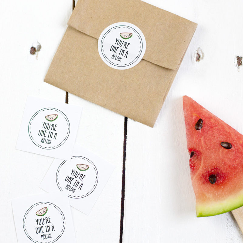 Obststicker You’re one in a melon Kleine Papeterie