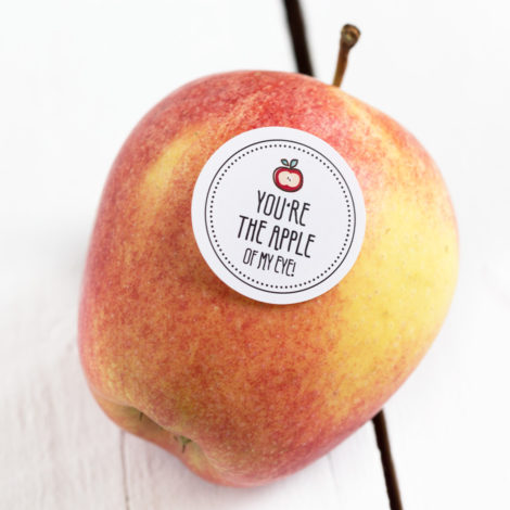 Obststicker You’re the apple of my eye Kleine Papeterie